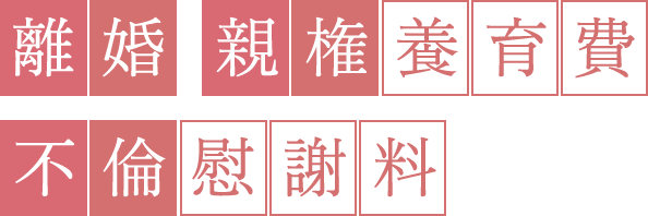 離婚 親権養育費 不倫慰謝料